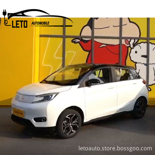 Young RHD LHD Φτηνές ενήλικες Μικρό ηλεκτρικό 100km/h ταχύτητα αυτοκίνητα ηλεκτρικά οχήματα για ενήλικες E Car Electric
